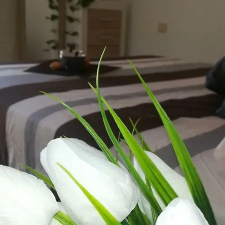 Beautiful Duplex With Jacuzzi Holiday home Puerto Rico (Gran Canaria)